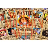 One Piece 14